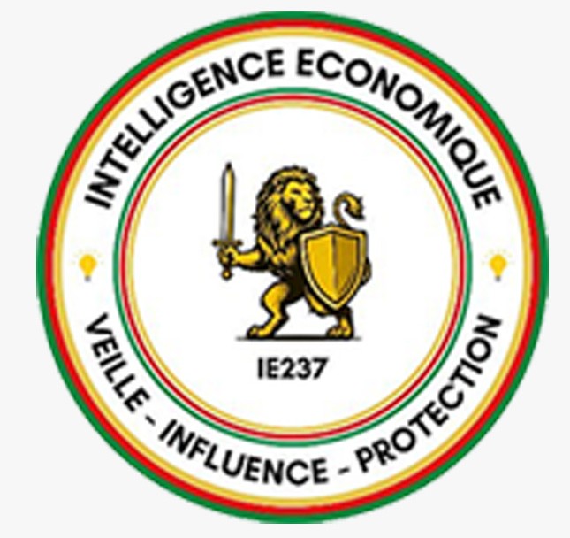 Appui technique : Intelligence économique : IE237