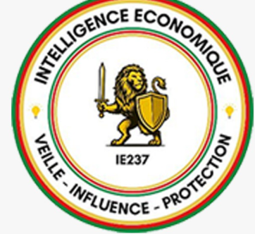 IE237 - Intelligence Economique